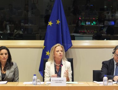 Ελ.Βόζεμπεργκ: Ερώτηση προς την Κομισιόν για την εξάπλωση των «fake news»